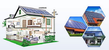 环保节能又经济实惠 安信地板建成业内首家太阳能光伏发电新能源工厂